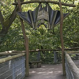 Baumkronenpfad im Nationalpark Hainich